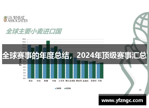 全球赛事的年度总结，2024年顶级赛事汇总